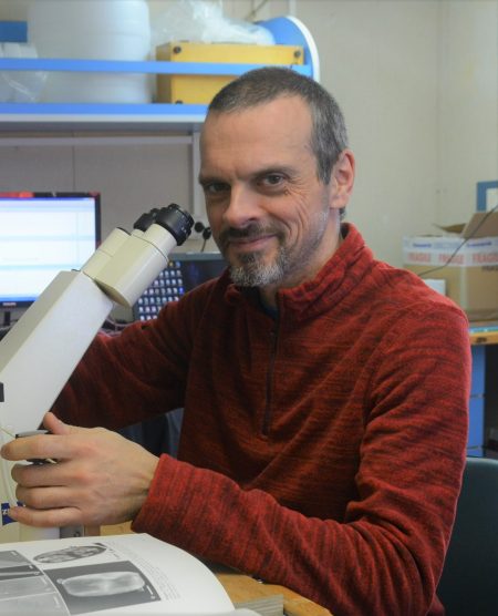 Antonino DE NATALE - Ricercatore di Botanica (BIO/02) Dipartimento di Biologia - Università degli Studi di Napoli Federico II